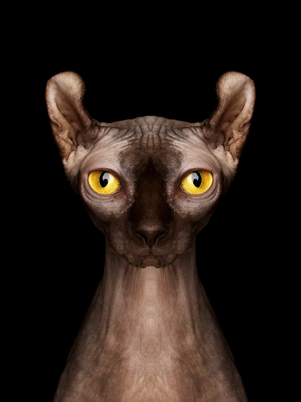 Detaljebilde av fotokunsttrykket "Wafer" av Dag Knudsen.