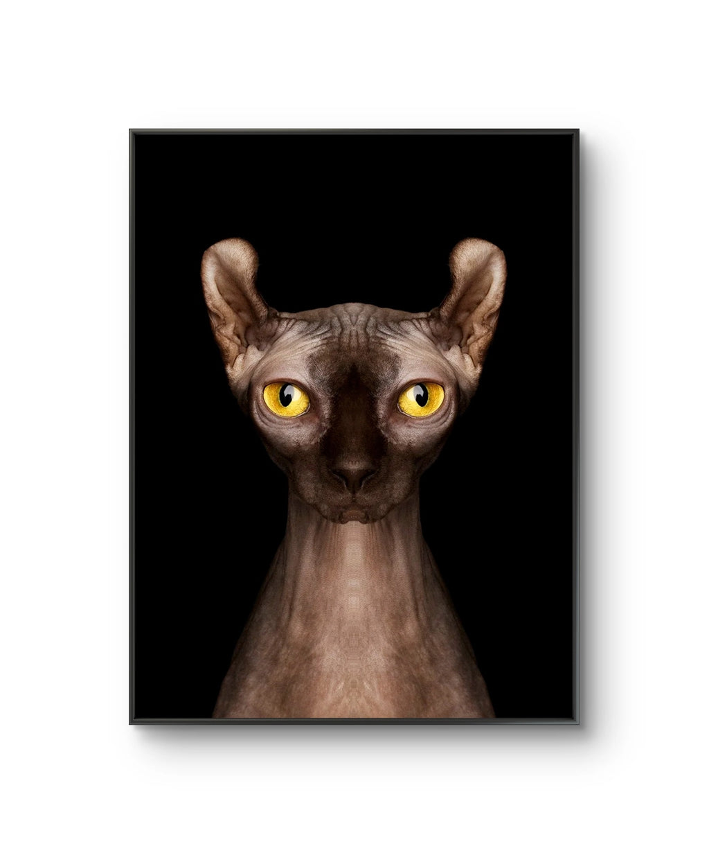 Fine art fotokunsttrykket "Wafer" av den norske fotografen Dag Knudsen, signert og nummerert i et begrenset opplag.