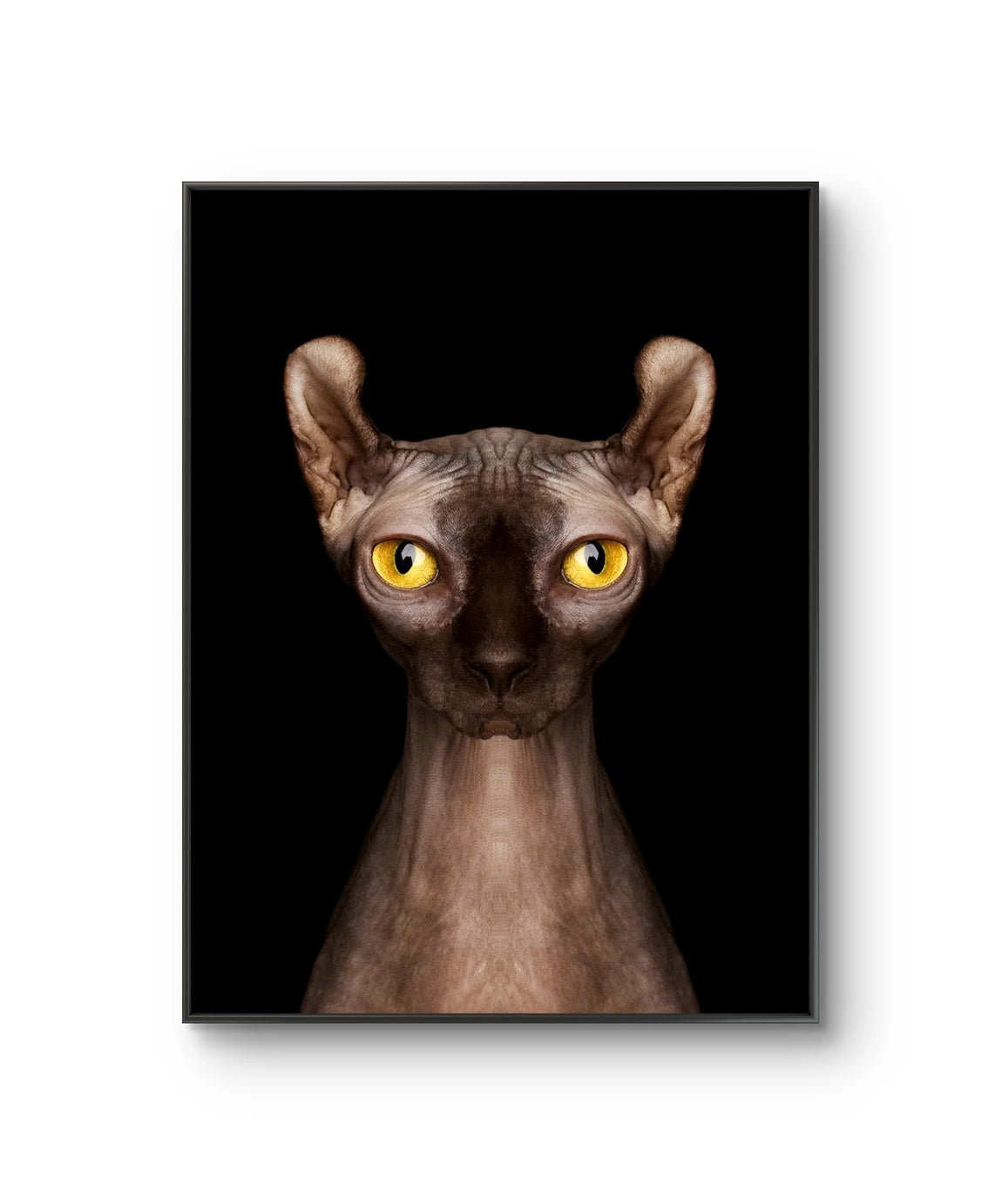 Fine art fotokunsttrykket "Wafer" av den norske fotografen Dag Knudsen, signert og nummerert i et begrenset opplag.