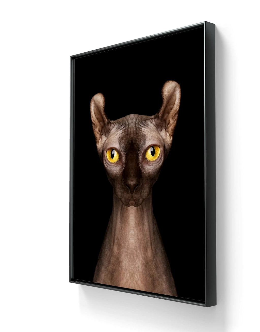 Fine art fotokunsttrykket "Wafer" leveres ferdig innrammet med en sort ramme i aluminium. 