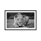 Young Gun, black and white et fotografi av Daniel Bryn Larsen