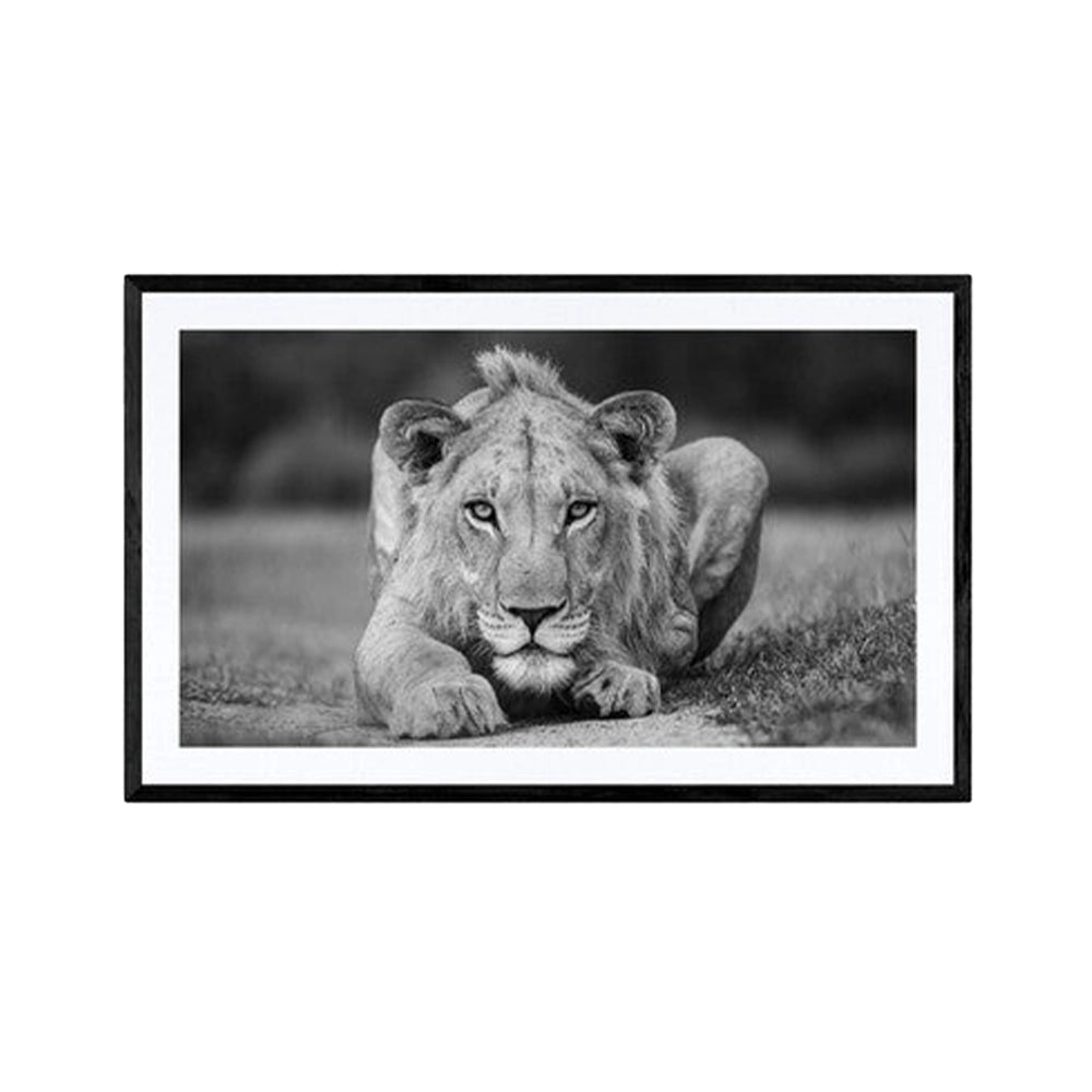 Young Gun, black and white et fotografi av Daniel Bryn Larsen