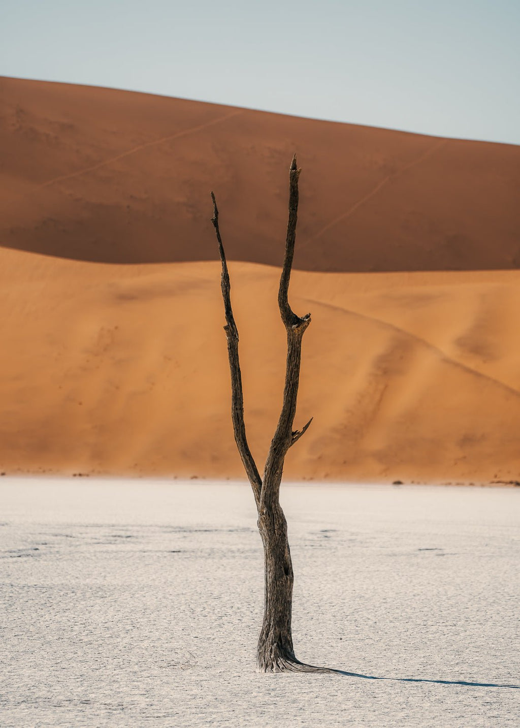 Forked in time er et fotografi av Daniel Bryn Larsen