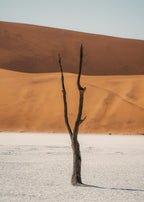 Forked in time er et fotografi av Daniel Bryn Larsen