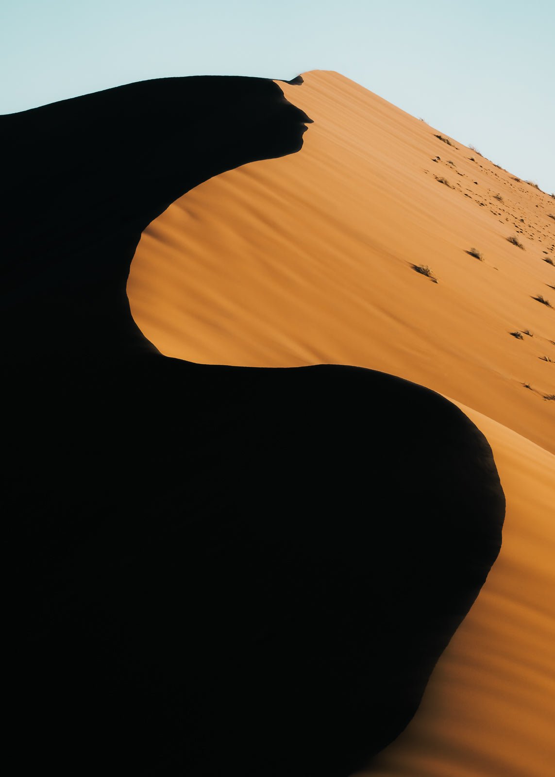 The Dune Messiah - M35.Collective